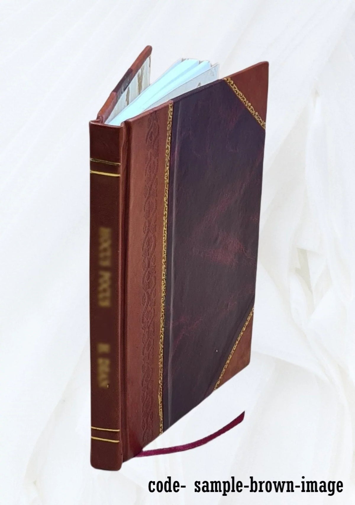 Život svetog Alojzija Gonzage 1926 [Leather Bound]