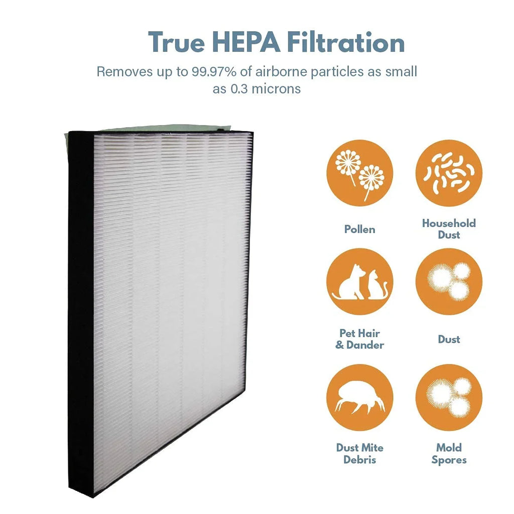 Filter-Monster True HEPA Replacement suitable with Bissell 2521 Filter for air400 Air Purifiers, 3 Pack